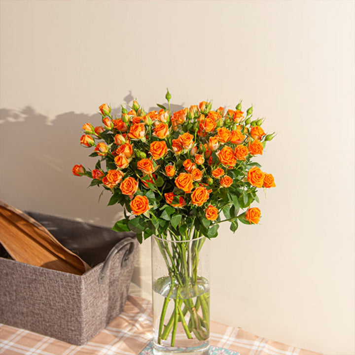 Orange Roses Baby flowers with 10 stems from SQ Flora Kenya, fresh and vibrant, displayed in a natural arrangement.