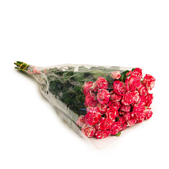 Pink Roses Baby Flash flowers from SQ Flora Kenya, 10 stems, showing vibrant pink blooms and green foliage.