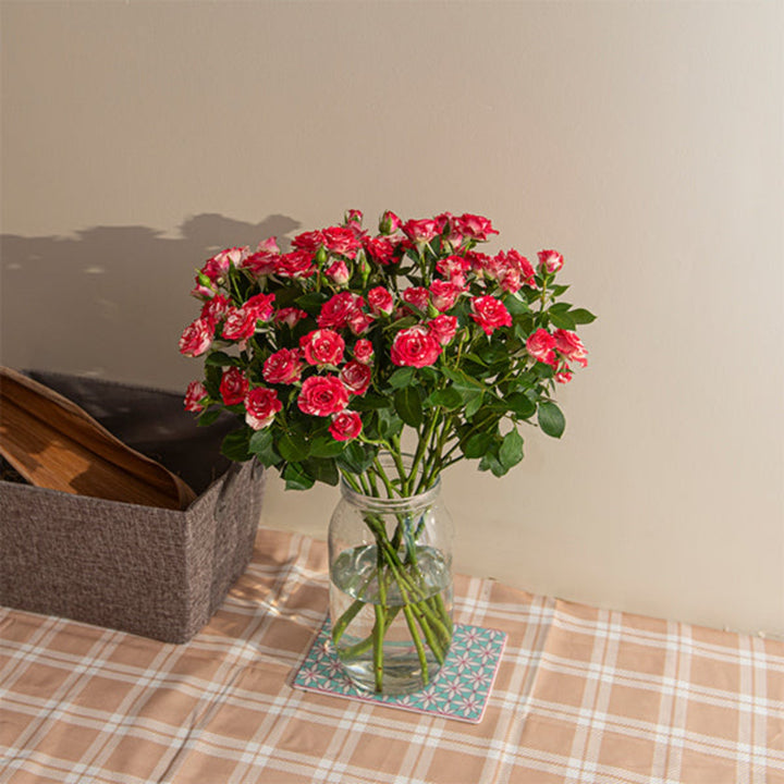 Pink Roses Baby flower arrangement with 10 stems from SQ Flora Kenya, showcasing delicate pink blooms in a natural display.