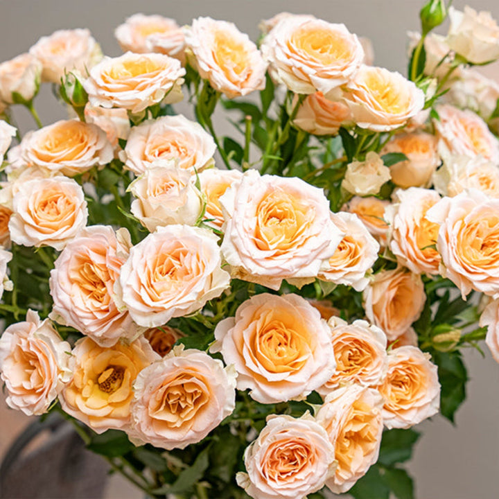 Bouquet of 10 Roses Baby Rosanella flowers by SQ Flora Kenya, featuring delicate pink blooms and green stems.