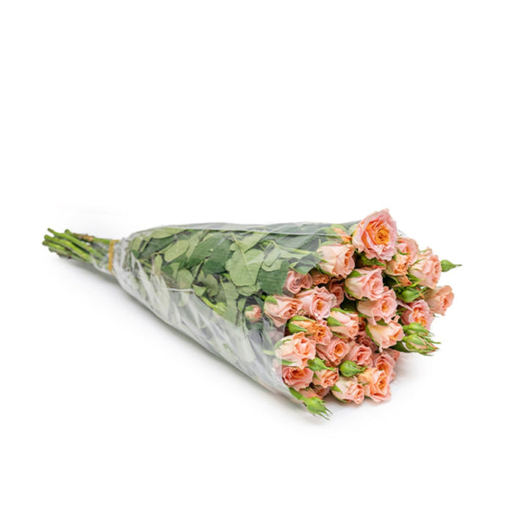 Bouquet of 10 stems of Roses Baby Sundial flowers by SQ Flora Kenya, showcasing vibrant pink and yellow blooms.