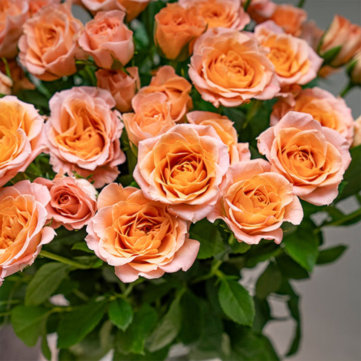 Bouquet of 10 Rose Baby Sundial flowers from SQ Flora Kenya, fresh pink blooms arranged in a natural display