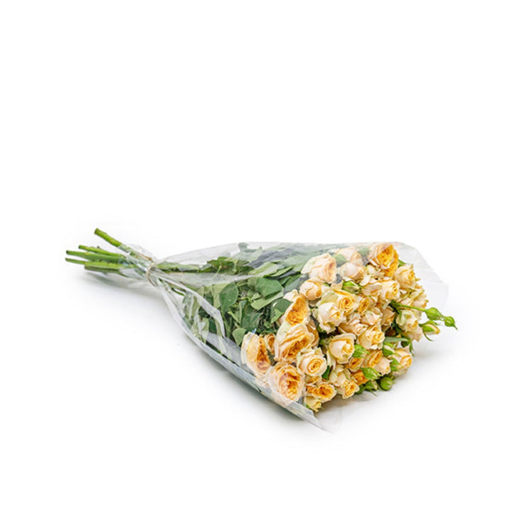 Bouquet of ten Trinity-Peach Roses from SQ Flora Kenya, fresh flower stems with vibrant peach-colored blooms.