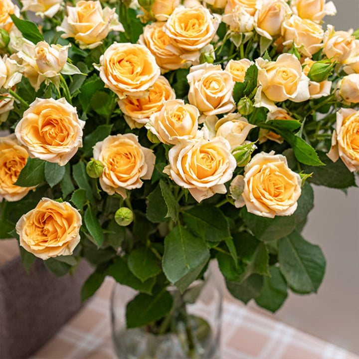 Bouquet of 10 Trinity-Peach Roses Baby flowers by SQ Flora Kenya, fresh and vibrant with soft peach-colored blooms.