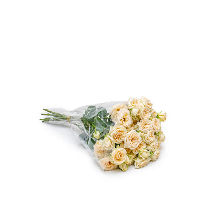 Cream yellow Roses Baby Trinity flower stems by SQ Flora Kenya, arranged in a bouquet with vibrant, fresh blooms.