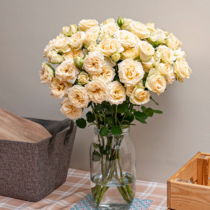 Bouquet of 10 Cream Yellow Roses Baby Trinity flowers by SQ Flora Kenya, arranged with green foliage.