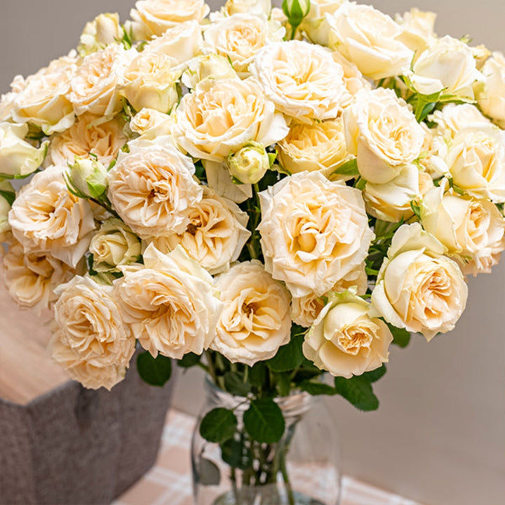 Cream yellow Roses Baby Trinity flower stems by SQ Flora Kenya, showing 10 fresh, vibrant flower stems in a natural arrangement.