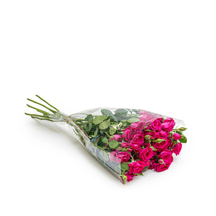 Bouquet of 10 Tessa-Cerise Roses Baby flowers by SQ Flora Kenya, showing vibrant red blooms and lush green stems.