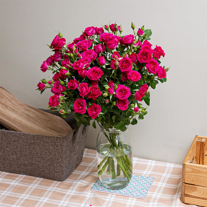 Bouquet of 10 Tessa-Cerise Roses Baby Flowers by SQ Flora Kenya, vibrant red blooms arranged in a natural display.