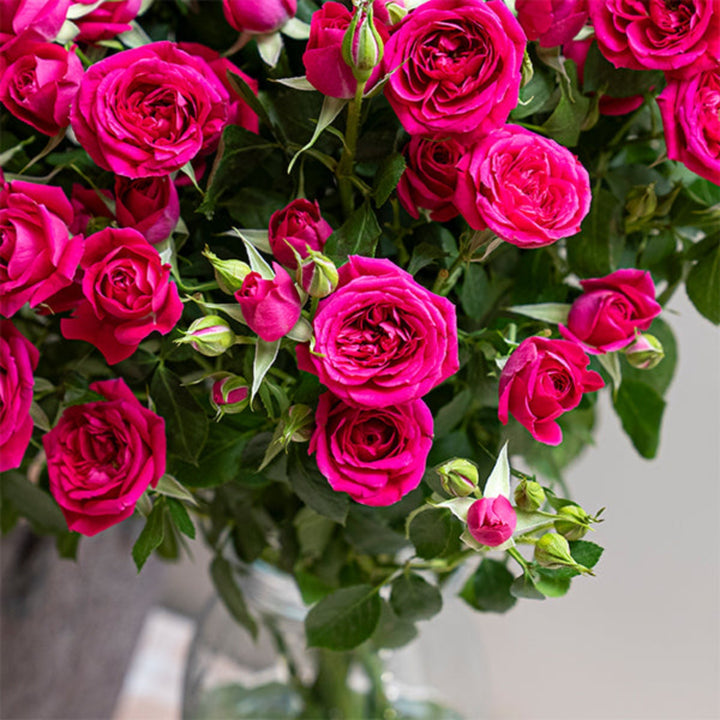 Bouquet of 10 Tessa-Cerise Roses by SQ Flora Kenya, showcasing vibrant red flower stems for elegant floral decoration.