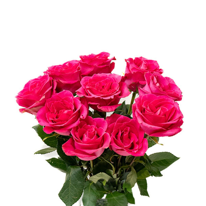Fresh red roses from Annakrya, arranged in 10 stems, showcased by Vegpro Kenya, perfect for floral arrangements and gifting.