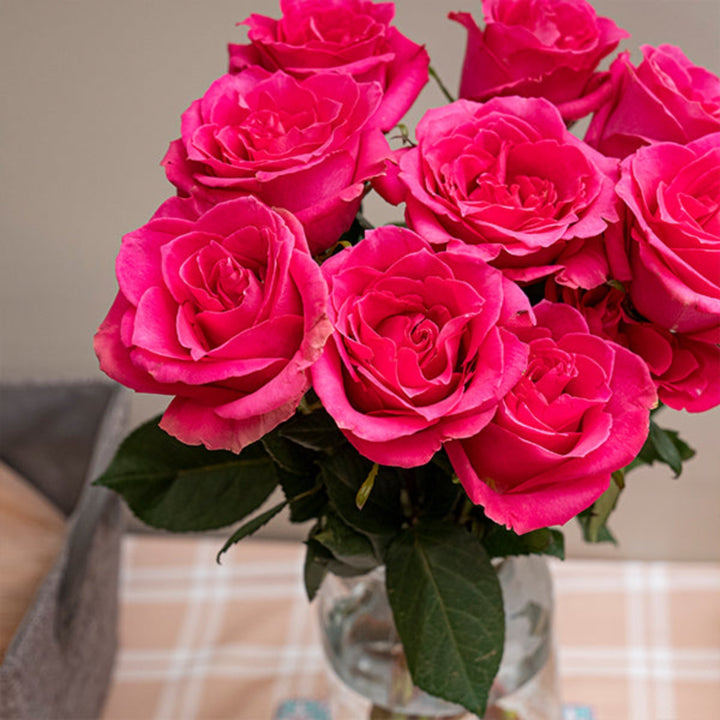 Bouquet of 10 fresh Annakrya roses from Vegpro Kenya, vibrant pink flower stems arranged beautifully.