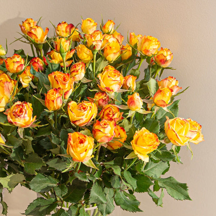 Bouquet of 10 rose stems from SQ Flora Kenya, featuring vibrant red roses suitable for floral arrangements and gifts.