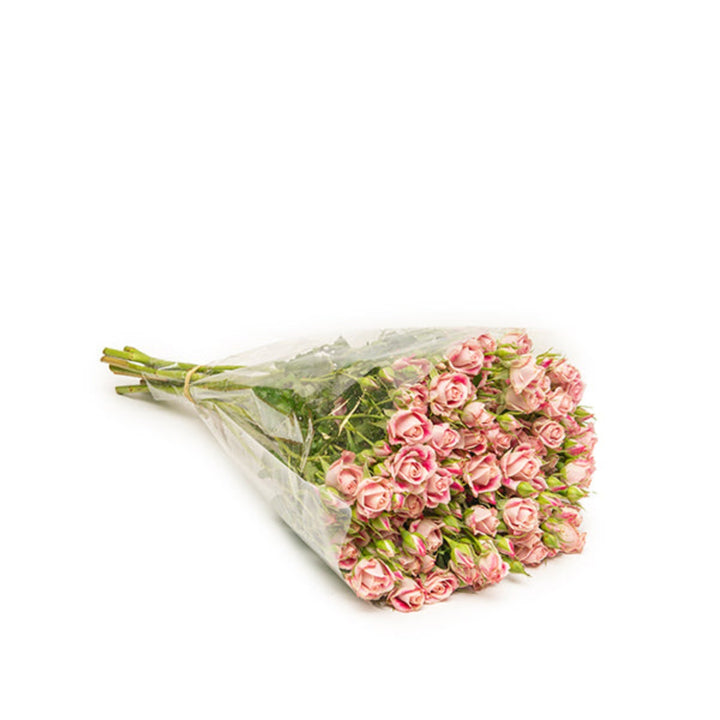 Bouquet of 10 Baby Flinders Lane roses by SQ Flora Kenya, showcasing vibrant pink flowers in a natural arrangement.
