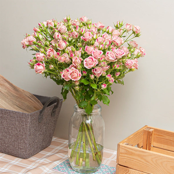 Bouquet of 10 Baby Flinders Lane roses by SQ Flora Kenya, fresh pink flower stems arranged for display.