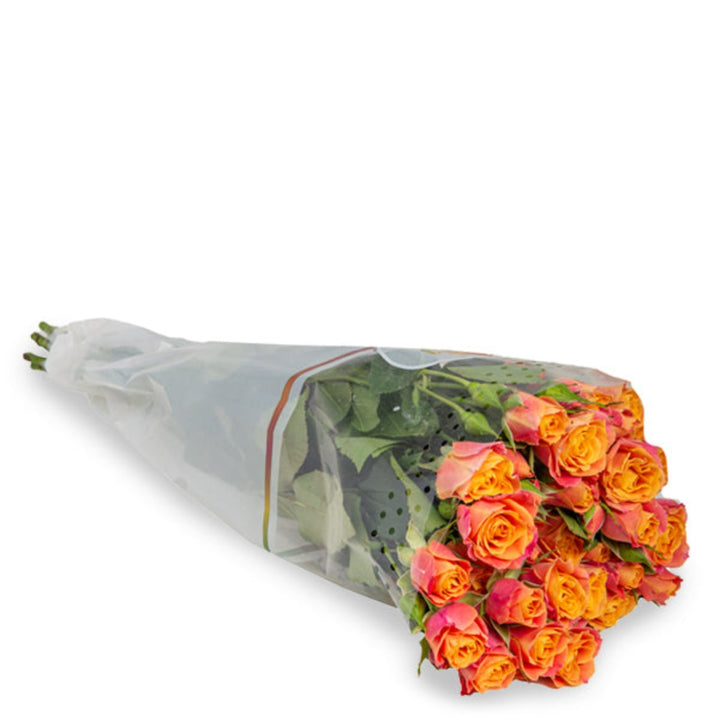 Bouquet of 10 Baby Sonora roses from SQ Flora Kenya, showcasing fresh pink flower stems on a plain background.