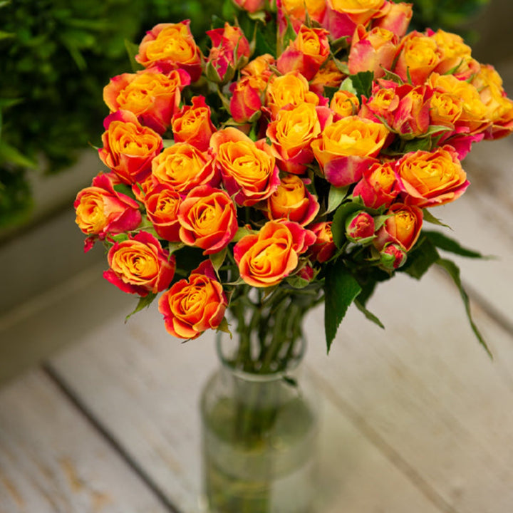 Bouquet of 10 Baby Sonora roses from SQ Flora Kenya, fresh pink flowers arranged in a natural display.