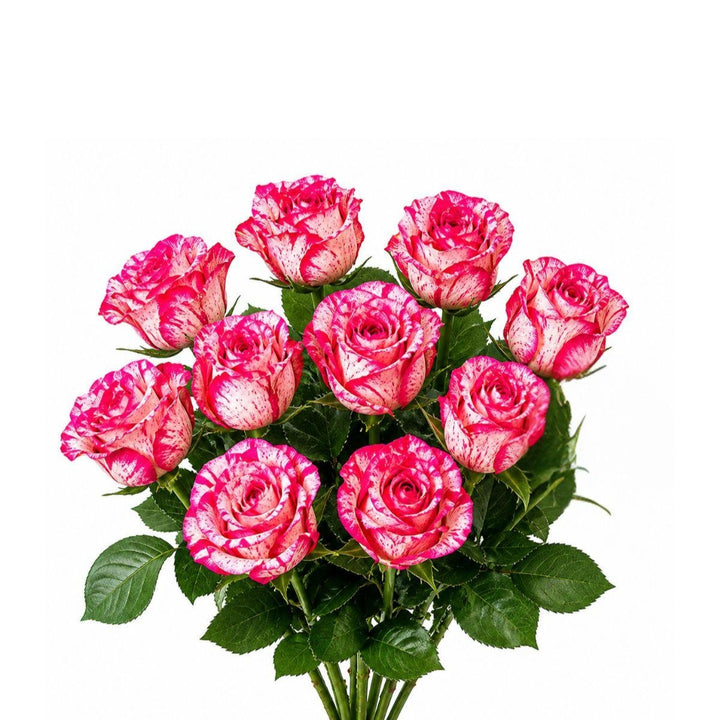 Bouquet of 10 Barracuda roses from SQ Flora Kenya arranged with vibrant red petals and lush green stems.