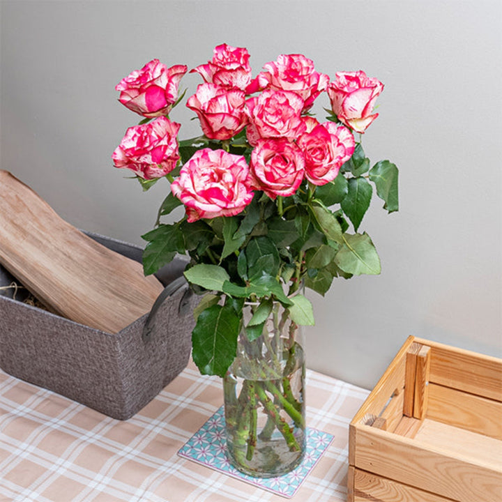 Bouquet of 10 fresh Barracuda roses from SQ Flora Kenya, showcasing vibrant red blooms and green foliage.