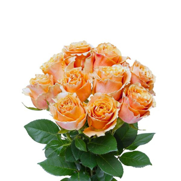 Bouquet of 10 Carpe Diem roses by Black Tulip with vibrant red petals and green foliage, displayed in a natural arrangement.