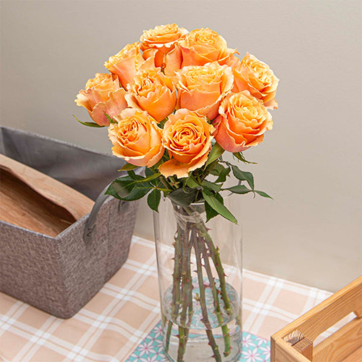 Bouquet of 10 red roses from Black Tulip, fresh flower stems arranged for decoration or gifting.