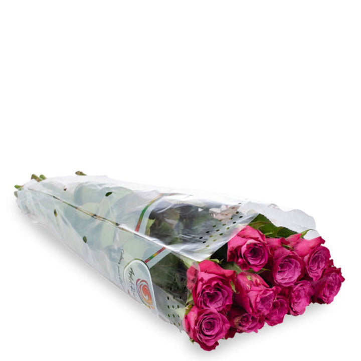 Deep purple roses from SQ Flora Kenya, 10 stems of fresh, vibrant flowers arranged together on a white background.