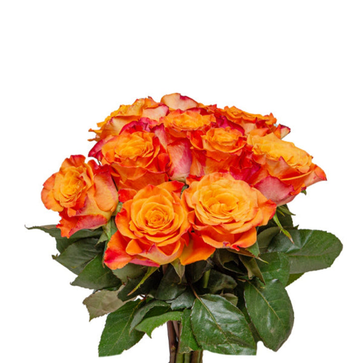 Bouquet of 10 fresh roses from SQ Flora Kenya, featuring vibrant red petals and lush green stems.