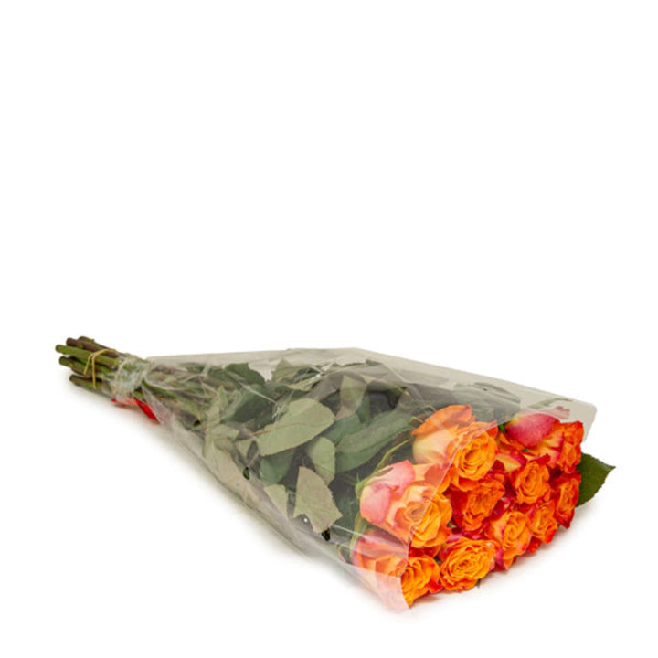 Bouquet of 10 fresh roses from SQ Flora Kenya, featuring vibrant blooms and lush green leaves in a natural floral display.