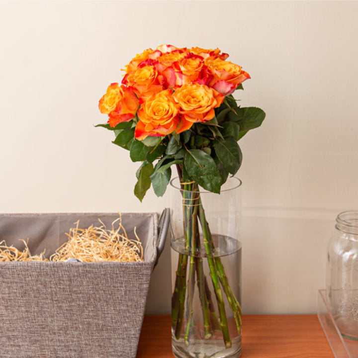 Bouquet of 10 fresh roses from SQ Flora Kenya, vibrant red flowers arranged in a natural bouquet style.