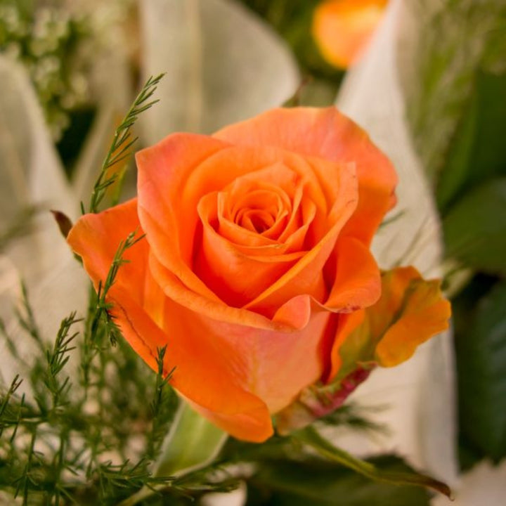 Bouquet of 10 fresh roses from SQ Flora Kenya, featuring vibrant red blooms arranged in a classic floral display.