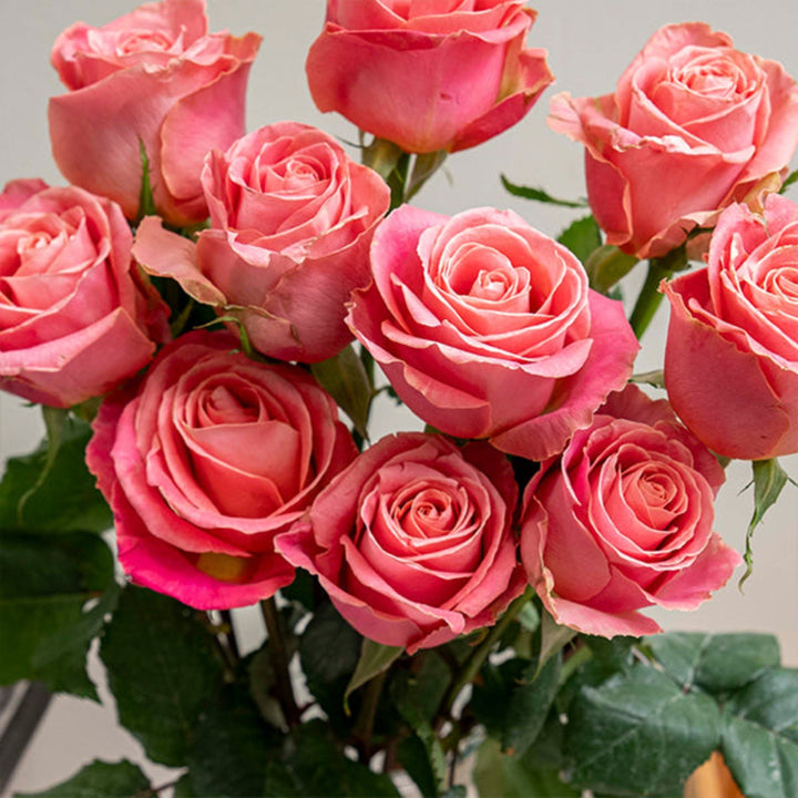 Bouquet of 10 fresh Hermosa roses by Bella Rose, showcasing vibrant red flower stems and lush green leaves.