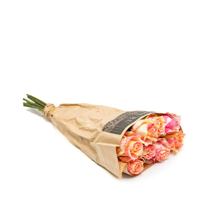 Jumbo Fiesta Feelings roses from Vegpro Kenya, 8-stem bouquet of vibrant red and pink flowers for gifting or decoration
