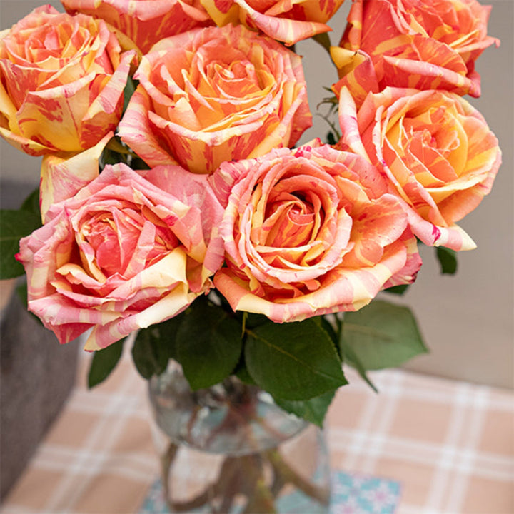 Jumbo Fiesta Feelings roses by Vegpro Kenya with 8 vibrant flower stems in a colorful bouquet.