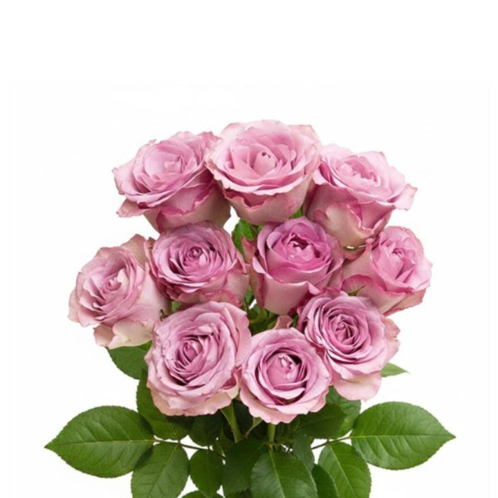 Bouquet of 10 Lilac Nightingale roses from SQ Flora Kenya with vibrant purple blooms and green foliage.