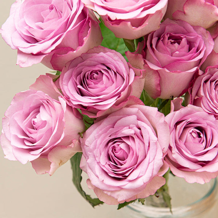Bouquet of 10 Lilac Nightingale roses from SQ Flora Kenya, featuring vibrant purple flowers on long stems.