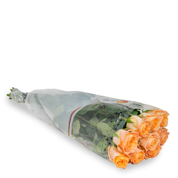 Bouquet of 10 Mayfair Peach roses from SQ Flora Kenya, fresh flower stems with vibrant peach-colored blossoms.