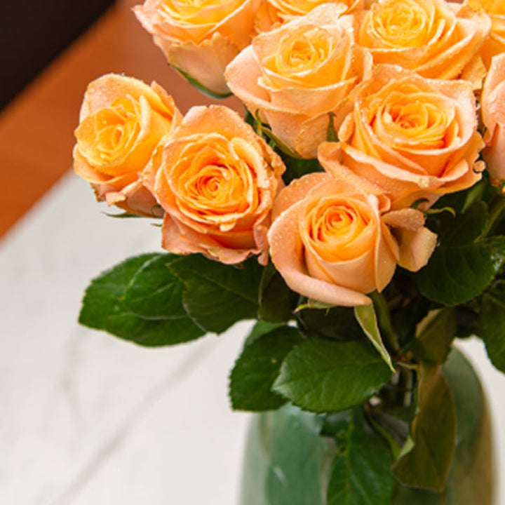 Bouquet of 10 Mayfair Peach roses by SQ Flora Kenya, fresh flower stems with vibrant peach-colored blooms.