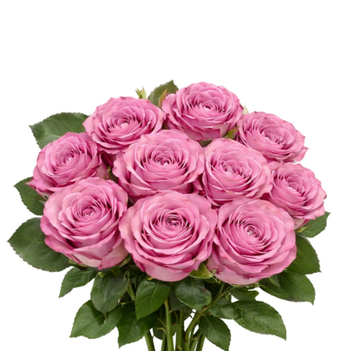 Bouquet of 10 fresh roses from SQ Flora Kenya, showcasing vibrant blooms and lush green stems.