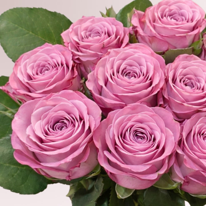 Bouquet of 10 fresh roses from SQ Flora Kenya, vibrant red and pink blooms arranged in a floral display.
