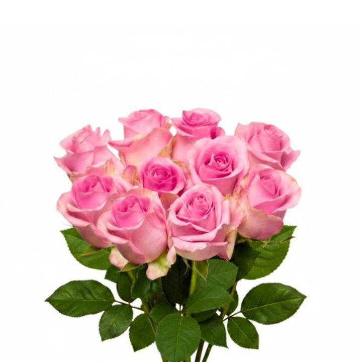 Bouquet of 10 Revival Pink roses from SQ Flora Kenya showcasing vibrant pink petals and lush green stems.