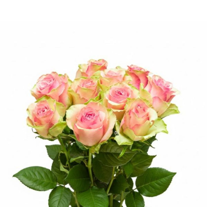 Bouquet of 10 Royal Athena roses from SQ Flora Kenya, featuring vibrant, fresh flower stems arranged beautifully.