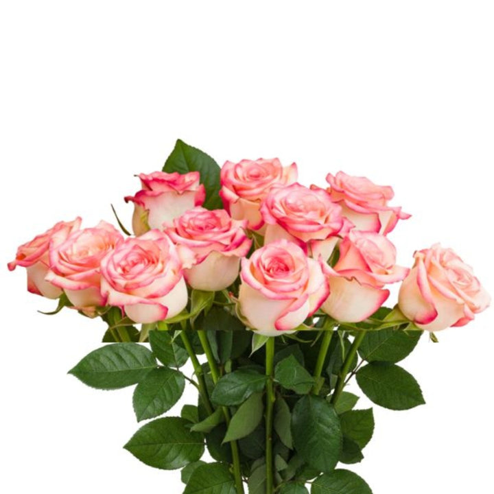 Bouquet of 10 fresh red roses from SQ Flora Kenya, arranged in a beautiful flower display.