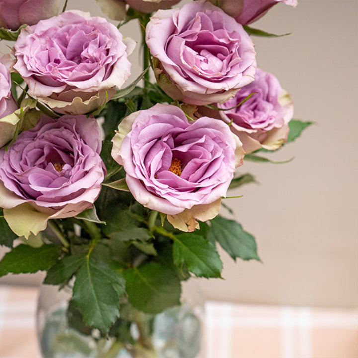 Purple bridal roses from Black Tulip, 10 stems of Samantha's Bridal Purple flowers arranged with lush green leaves.