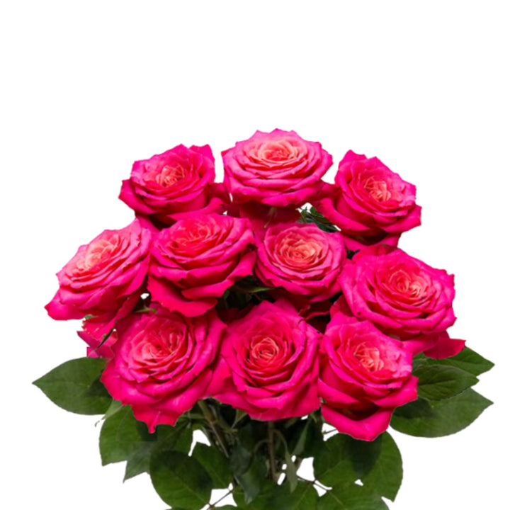 Bouquet of 10 Tatjana roses from SQ Flora Kenya with vibrant red petals, arranged in a clear glass vase.