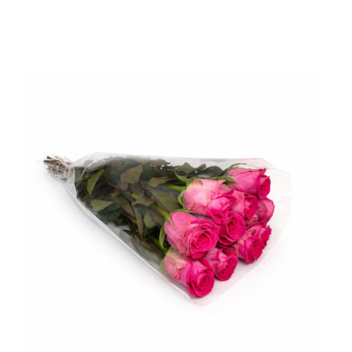 Bouquet of 10 Bella Rose roses with vibrant pink blossoms and green foliage, arranged in a natural display.