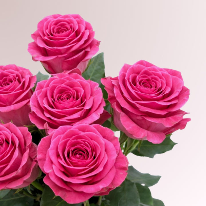 Bouquet of 10 Bella Rose roses with topaz-colored blooms, fresh flower arrangement on a neutral background.
