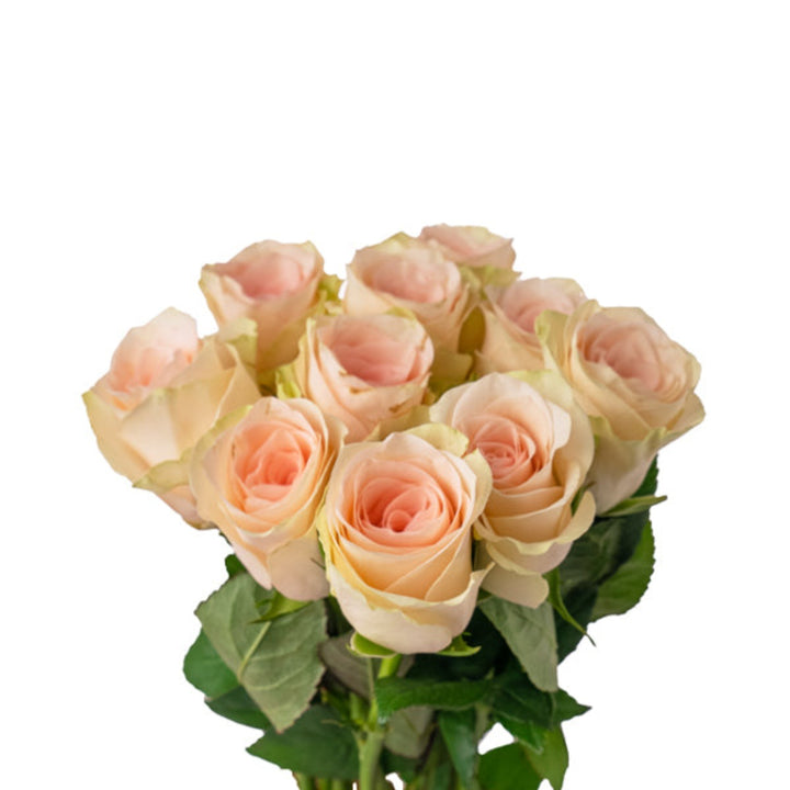 Bouquet of 10 roses and Veronica flowers from SQ Flora Kenya, fresh floral arrangement with vibrant blooms.