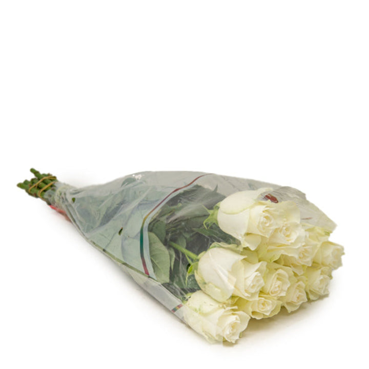 White roses from SQ Flora Kenya, 10 stems of fresh, elegant flower blooms arranged with green foliage.