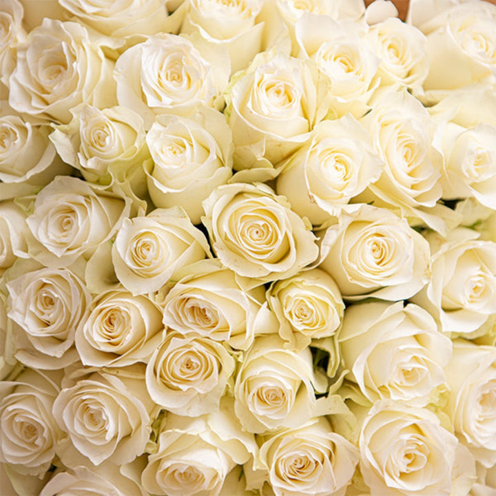 White luxury roses bouquet with 50 stems from Mix Flower Bouquet, showcasing elegant, fresh flower arrangement.