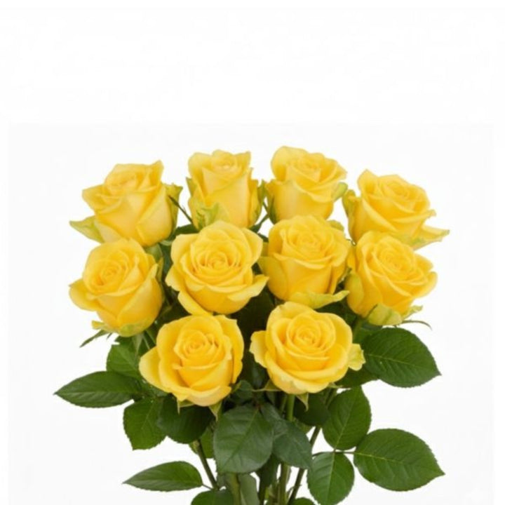 Yellow roses from SQ Flora Kenya with 10 stems, fresh flower arrangement, vibrant blooms, and green foliage.